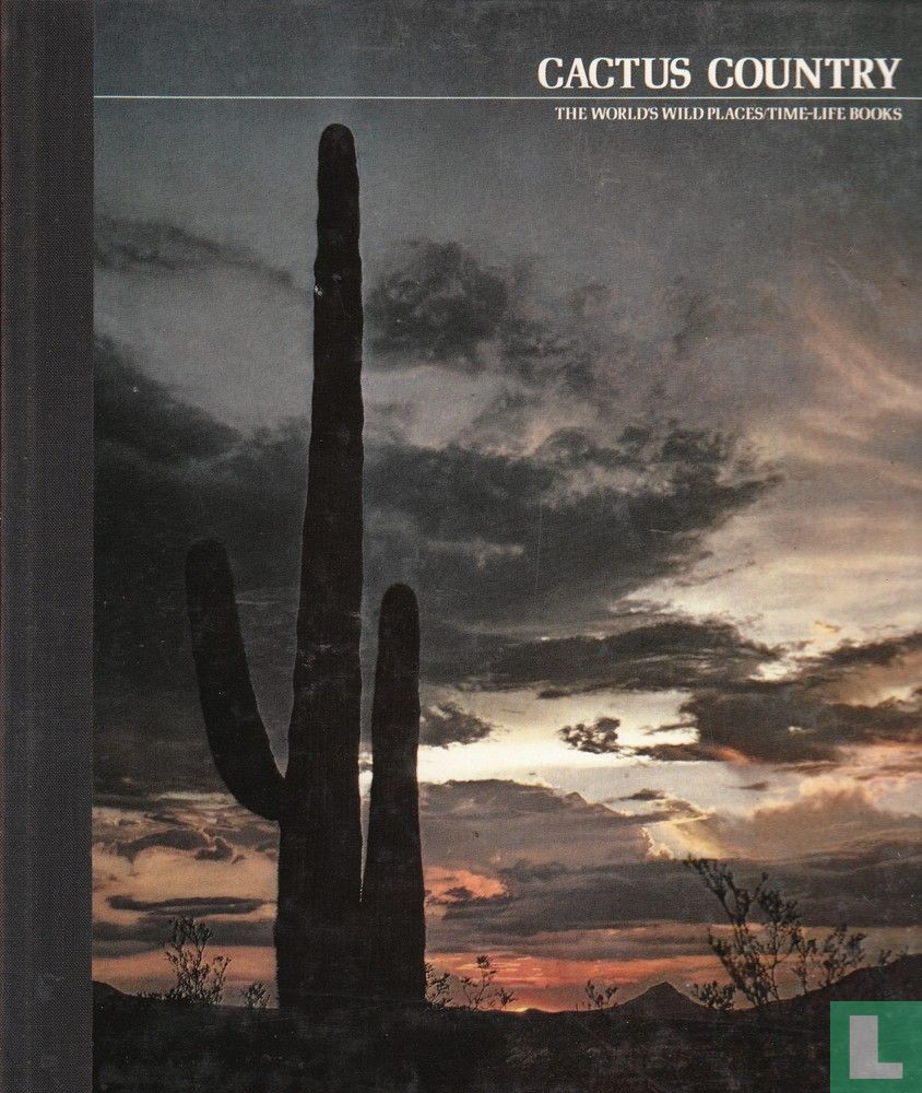 Cactus country