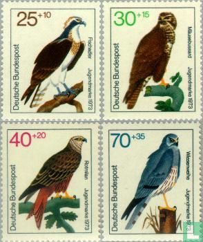 Greifvögel