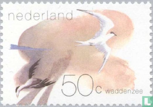 Waddenzee