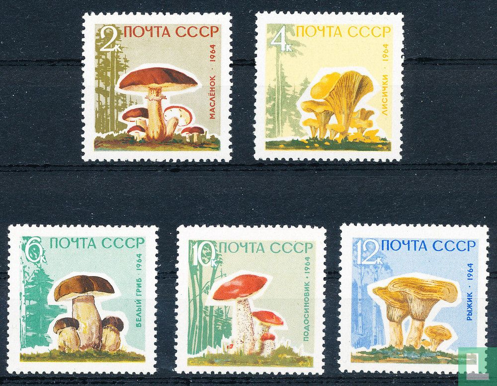 Champignons