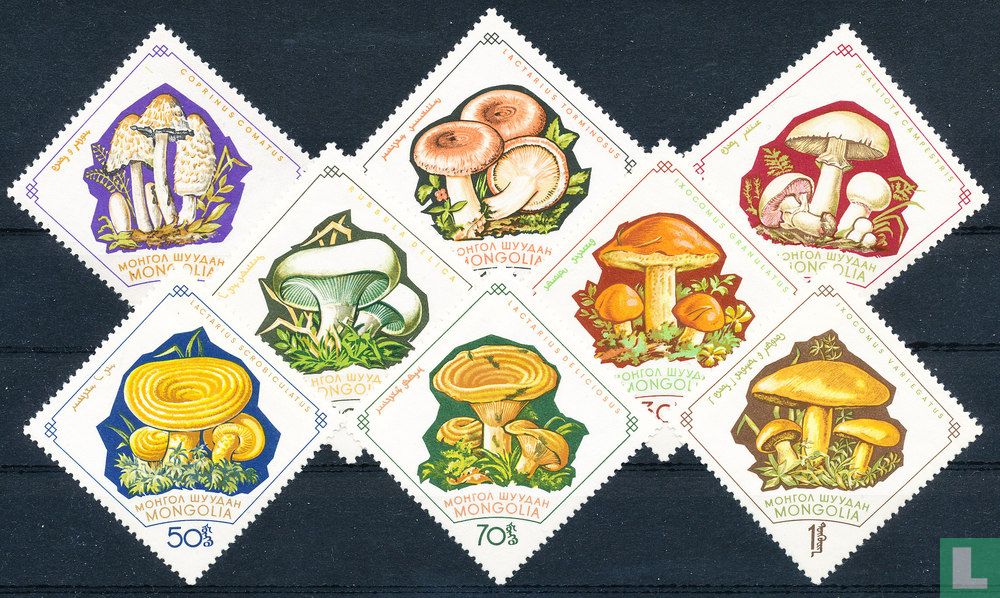 Champignons