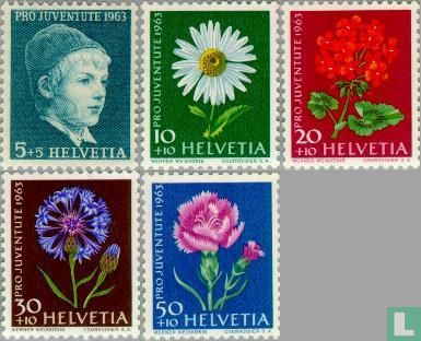 Blumen - Pro Juventute