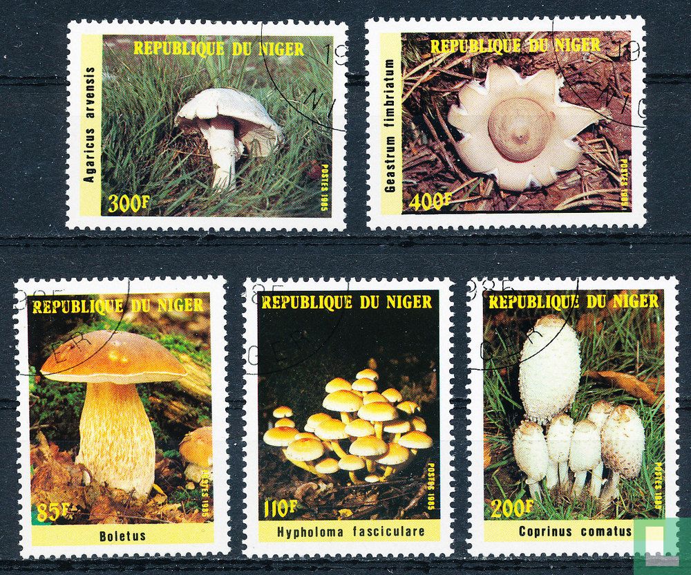 Mushrooms