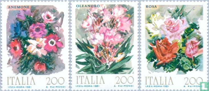 Fleurs d'Italie