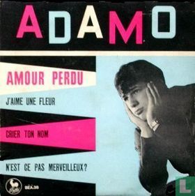 Amour perdu 