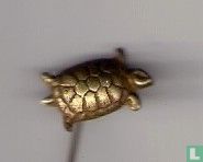 Tortue