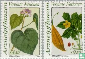 Medicinal plants