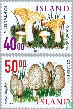 Champignons