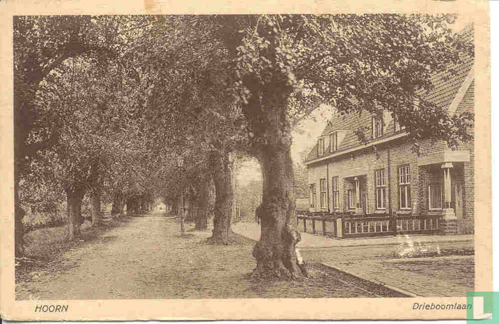 Drieboomlaan