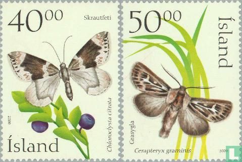 Butterflies