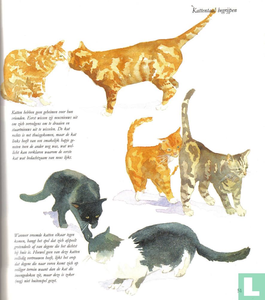 Katten in hun element