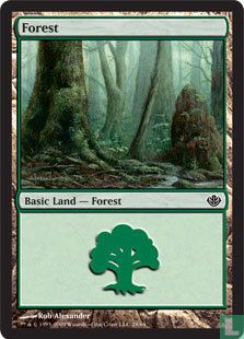 Forest