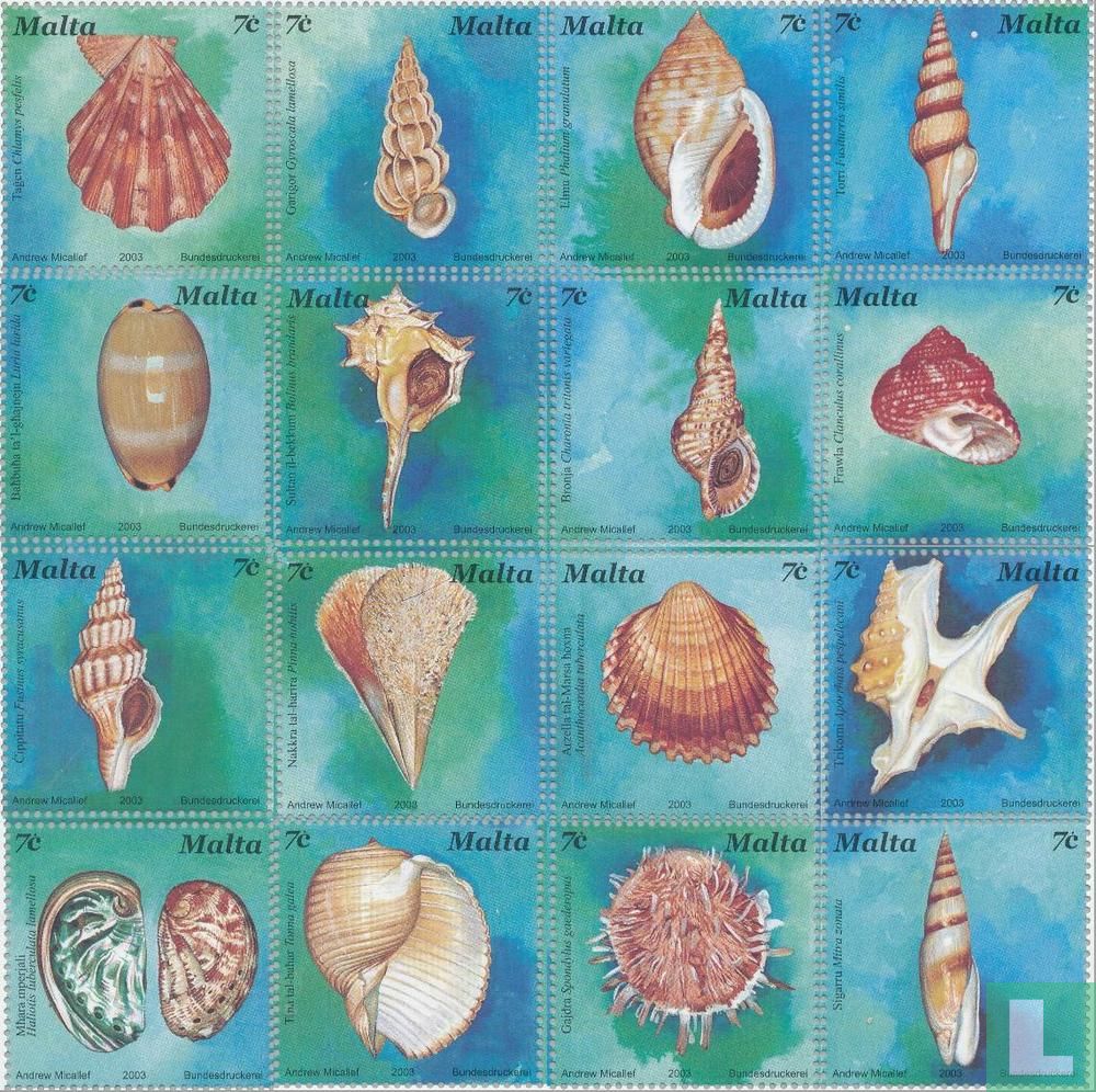 coquilles