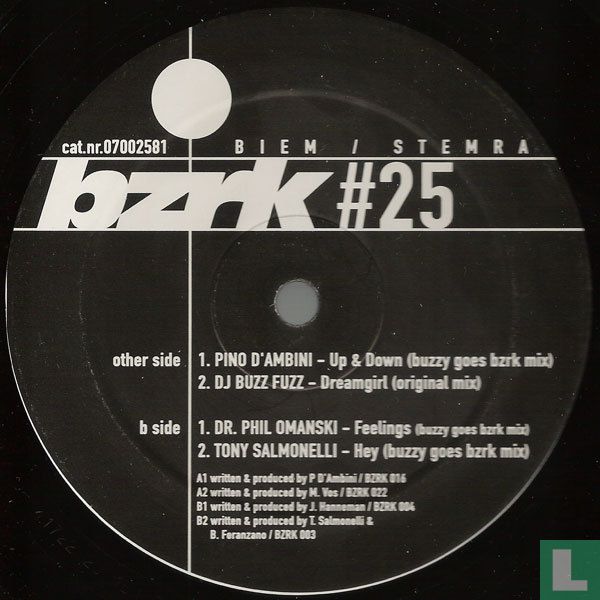 bzrk #25 The Anniversary Album