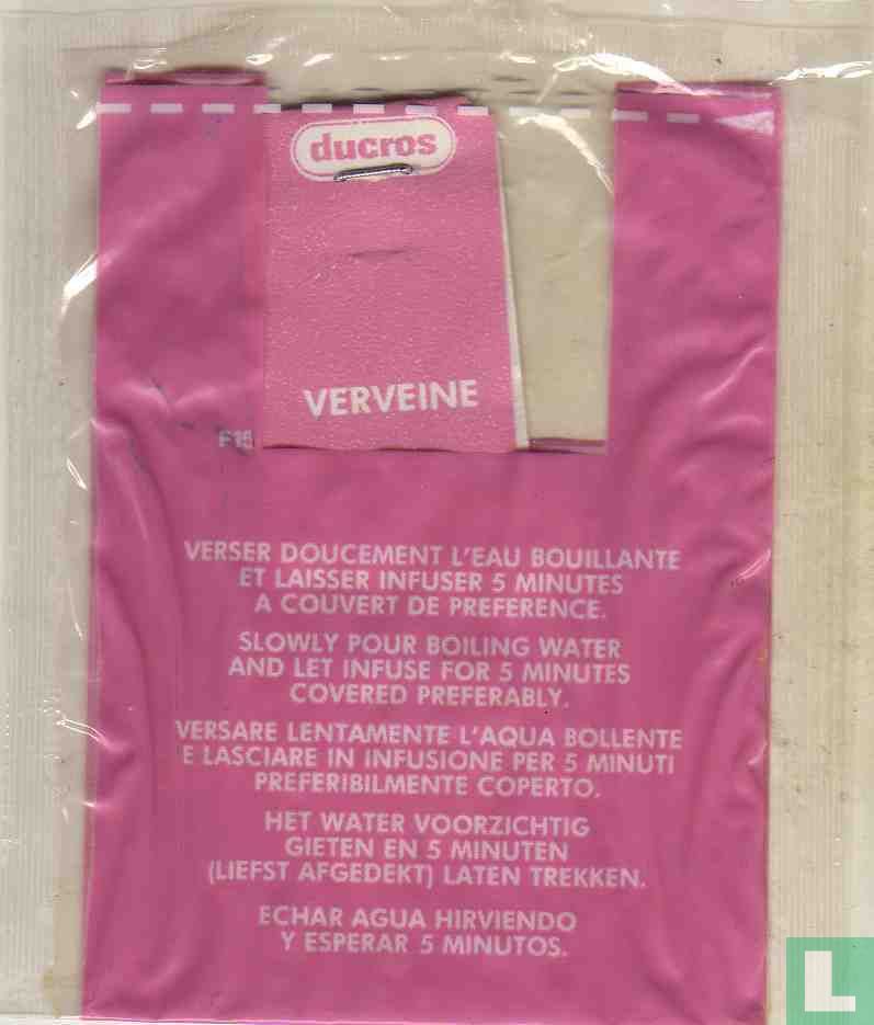 Verveine