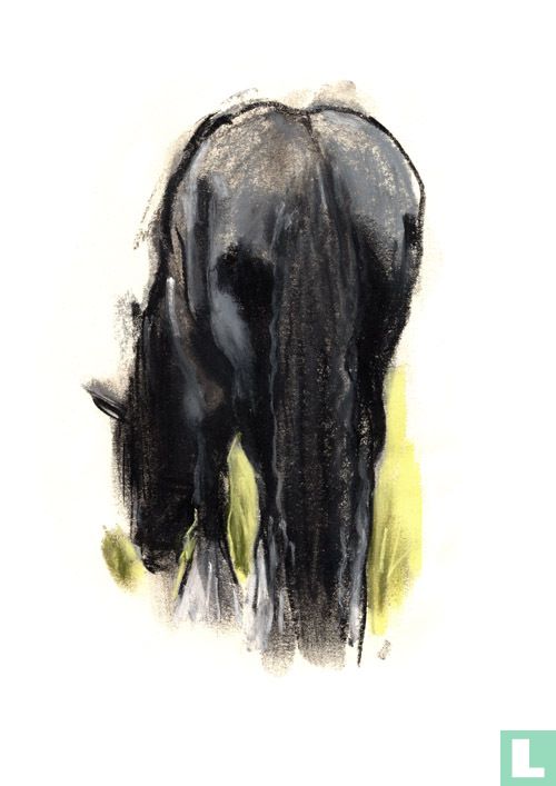 Paard
