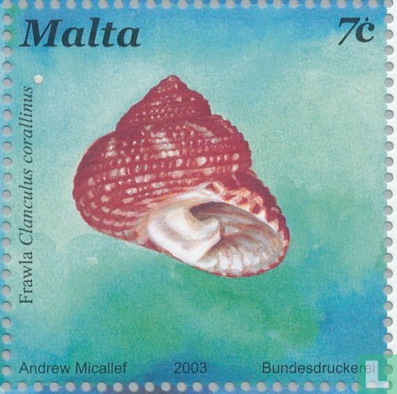 coquilles