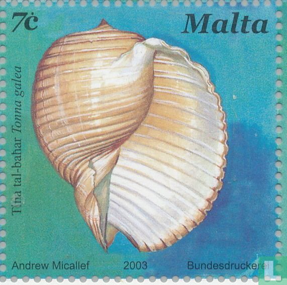 coquilles