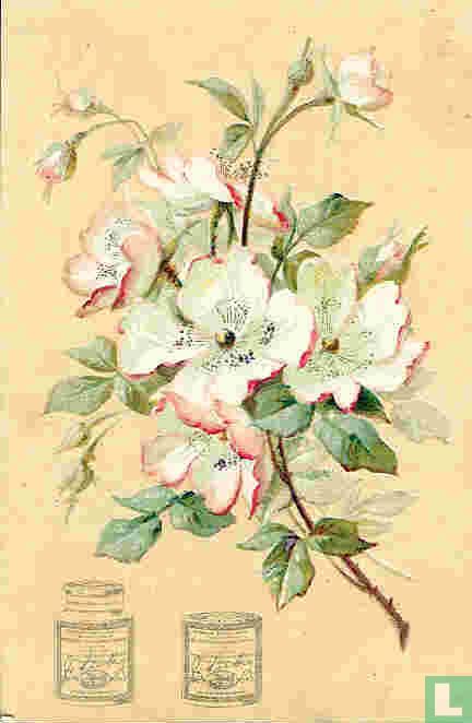 Branches de fleurs