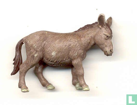 Donkey