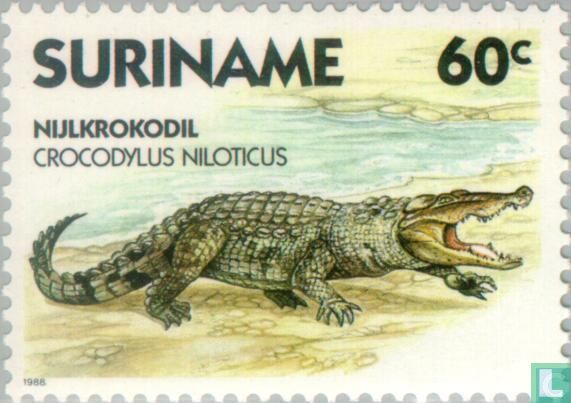 Nile crocodile