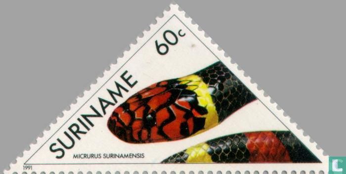 Serpent de corail aquatique