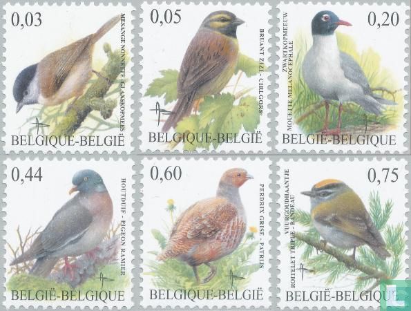 Vögel