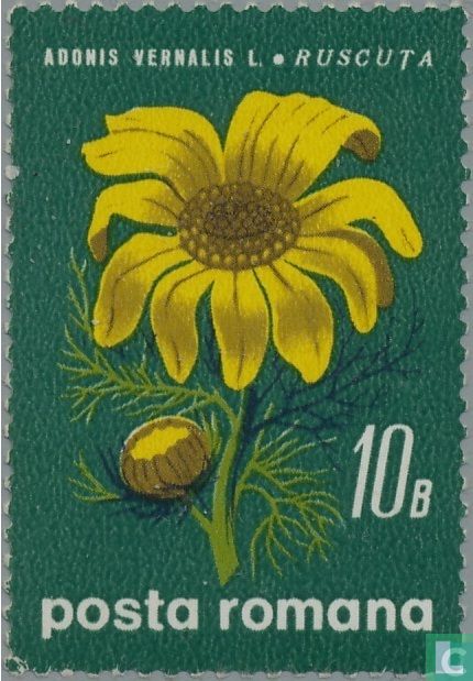 Blumen