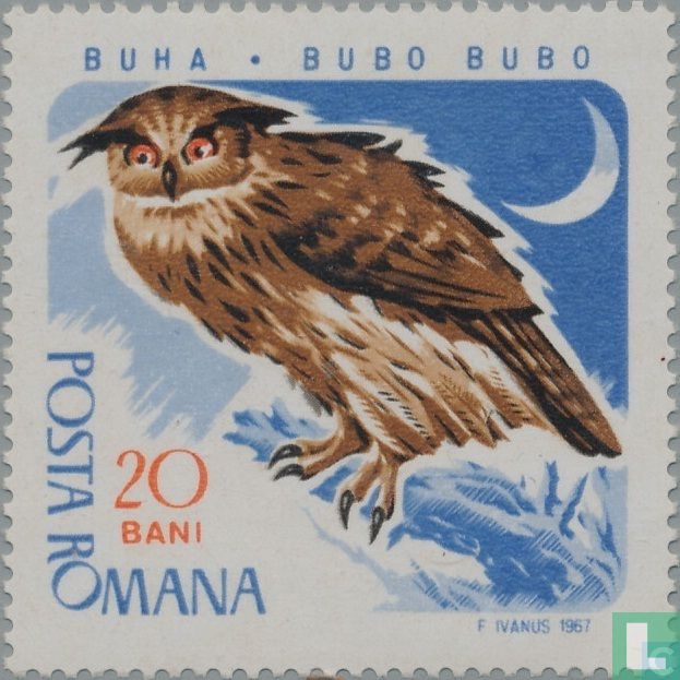 Oiseaux de proie