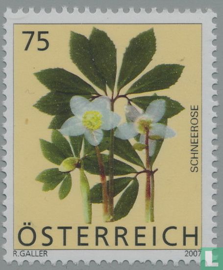 Fleurs