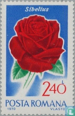 Roses