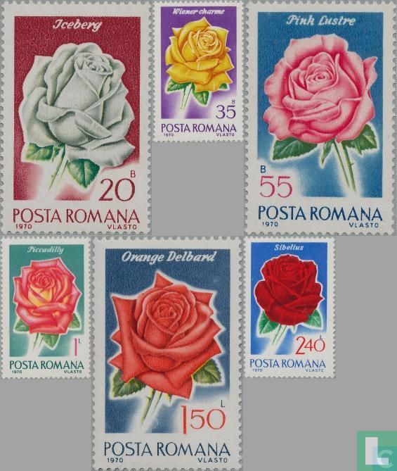 Roses