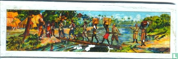 Afrika 11