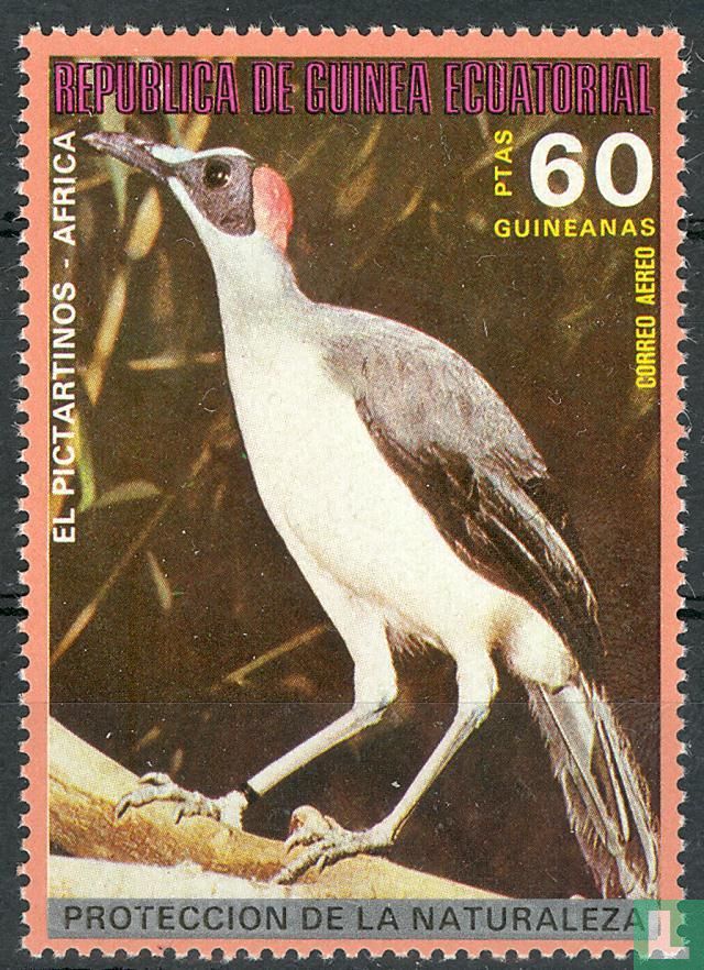 Oiseaux d'Afrique