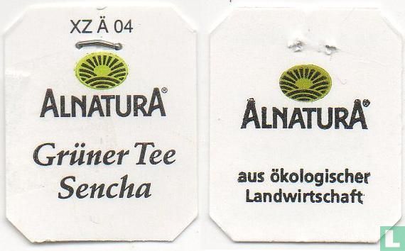 12 Grüner Tee Sencha