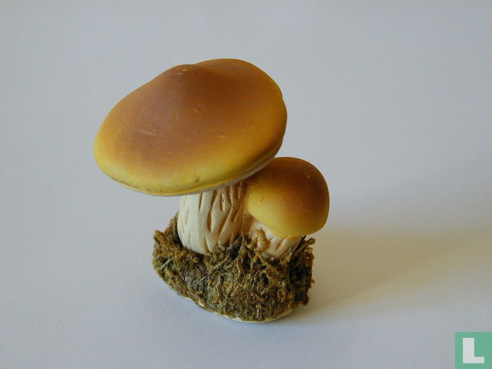 toadstool