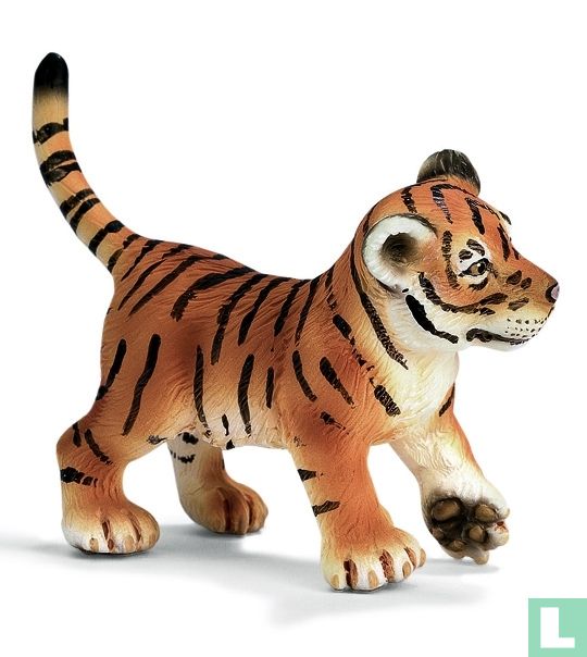 Young Tiger playing