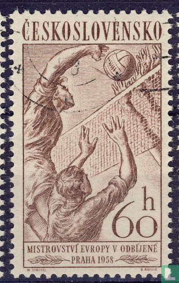 Volleybal
