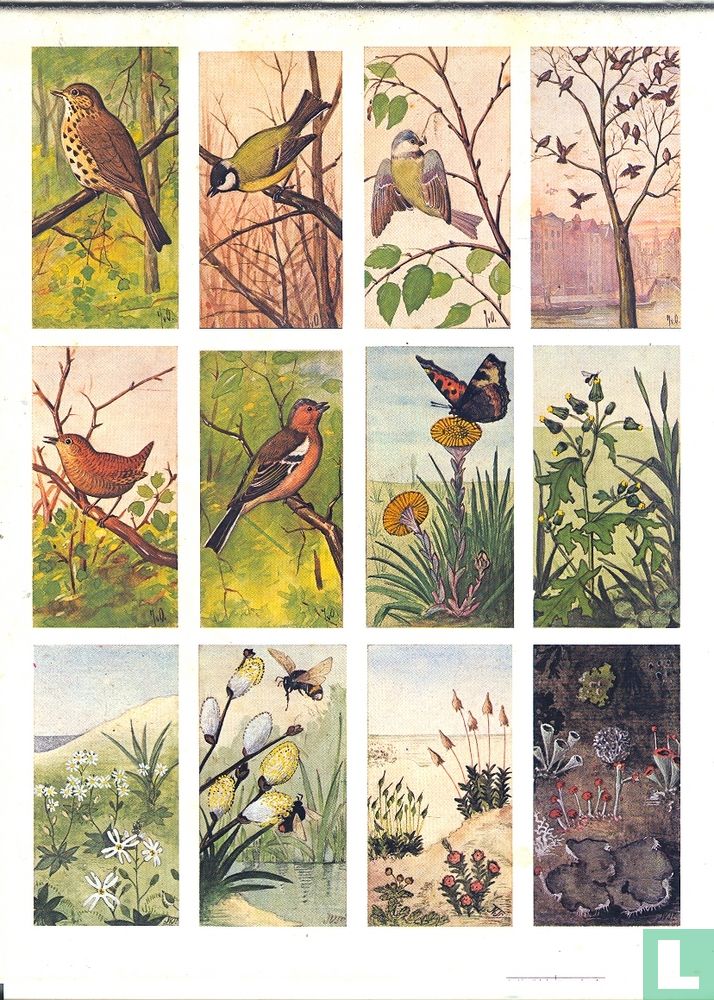 Lente