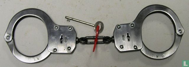 Single link