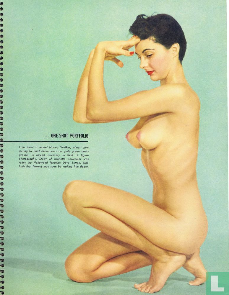Figure Quarterly 22