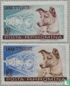 Laika