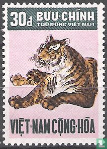 tiger