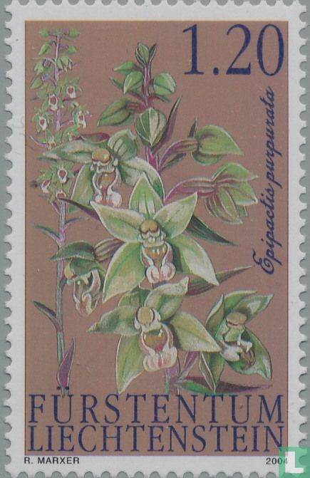 Orchideen