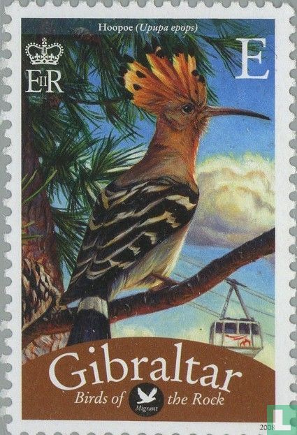 Vogels