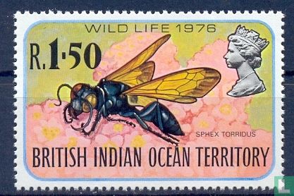 insects