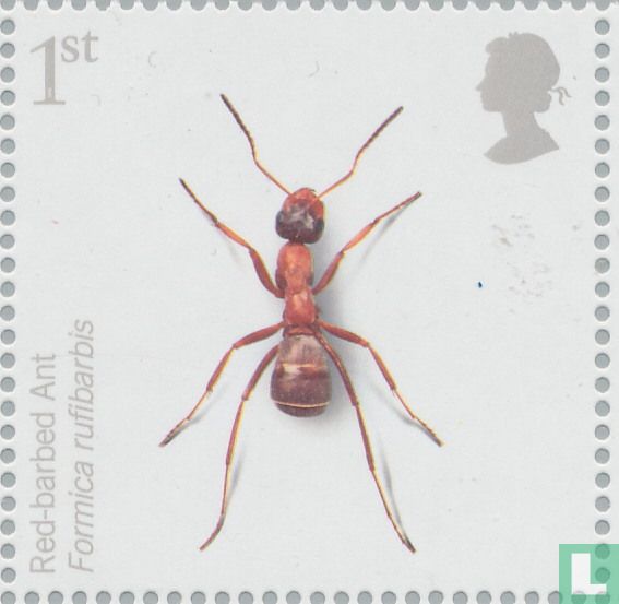 Insecten