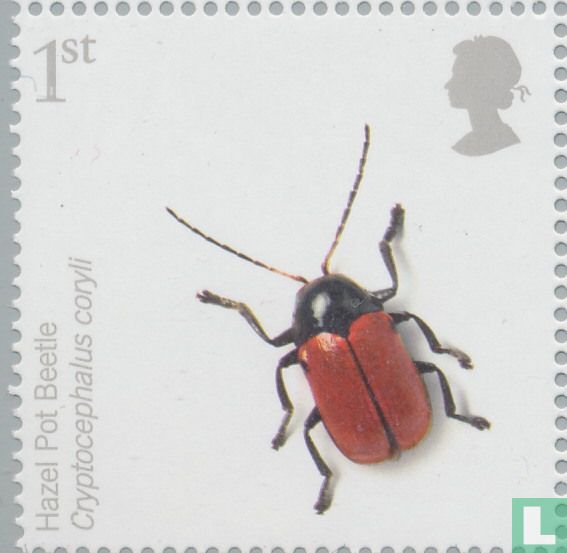 Les insectes
