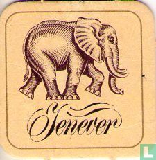 Jenever