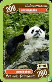 reuzenpanda